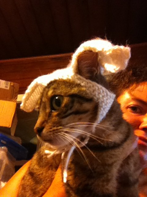 aaaomalley tweet picture