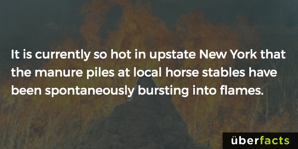 UberFacts's tweet photo. Geez https://t.co/kb37ej4xwn
