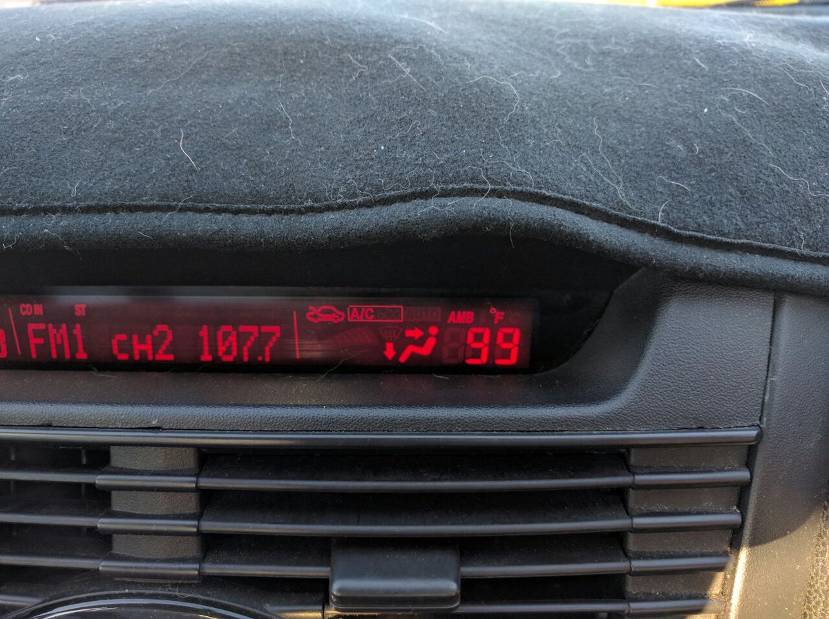 Pup Zero tweet media