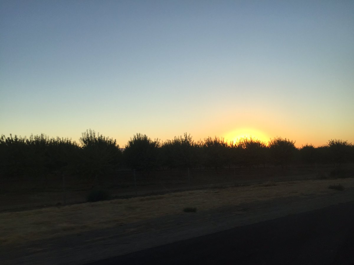 Maynard Motors (MotorsMaynard) Twitter