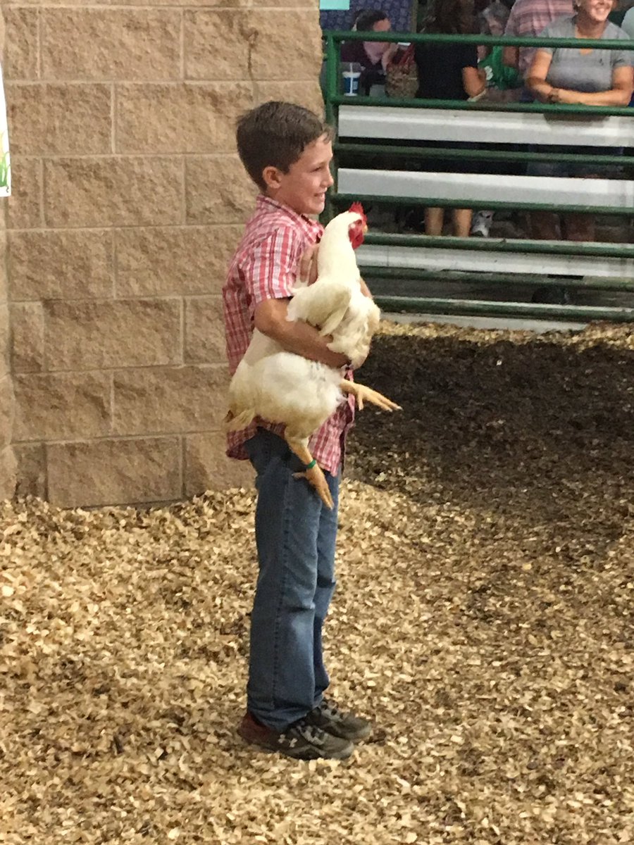 vintoncourier's tweet photo. Big chicken? Or small boy? We are still going strong at #JrFair Livestock Sale. https://t.co/pM4Kifo84O
