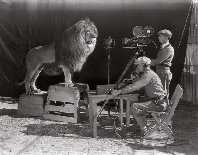 thectinkerer's tweet photo. Filming MGM’s iconic introduction https://t.co/mAtqNSorXY https://t.co/0jPlQb1cXZ