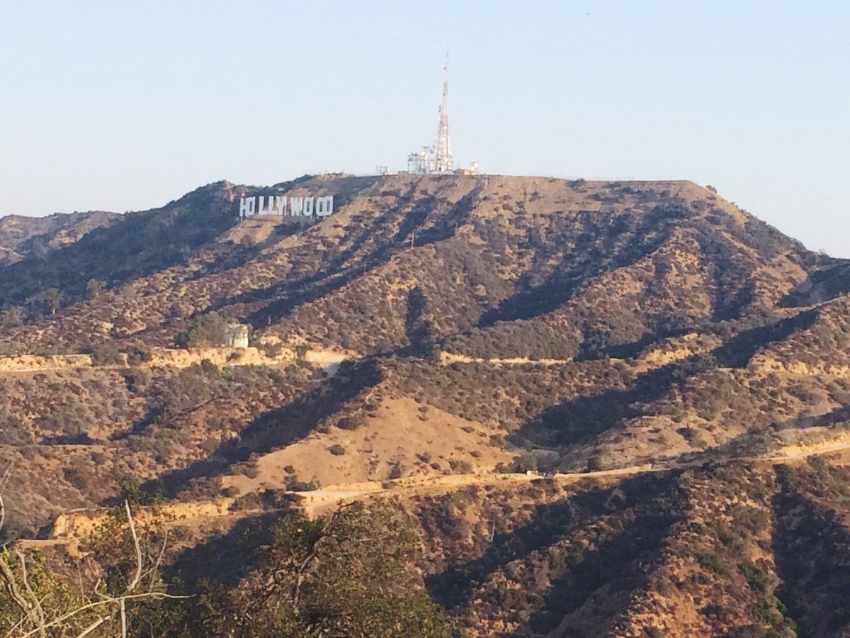 _allip33's tweet photo. Good day in Cali☀️ https://t.co/YIc95I38qb