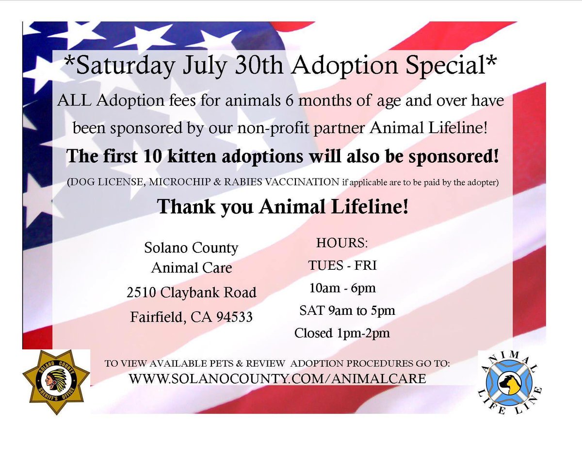 SolanoSheriff's tweet photo. Looking for a new pet? Come visit our Animal Shelter tomorrow for an adoption special. #adopt #shelter #SolanoSO https://t.co/TN3GyYJ0Yy