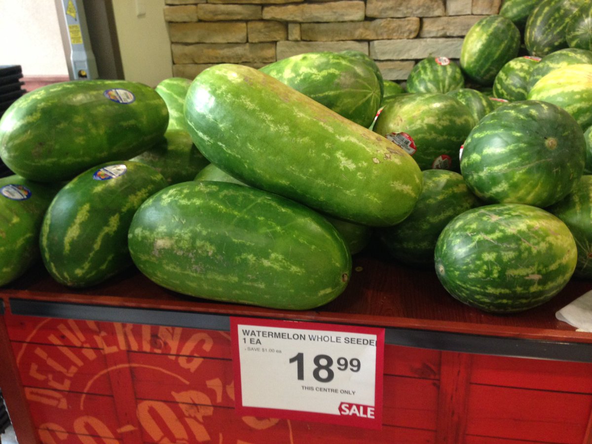 ebedard's tweet photo. Ehh are watermelons supposed to look like oversized cucumbers?!? https://t.co/YqdgGuP4qT