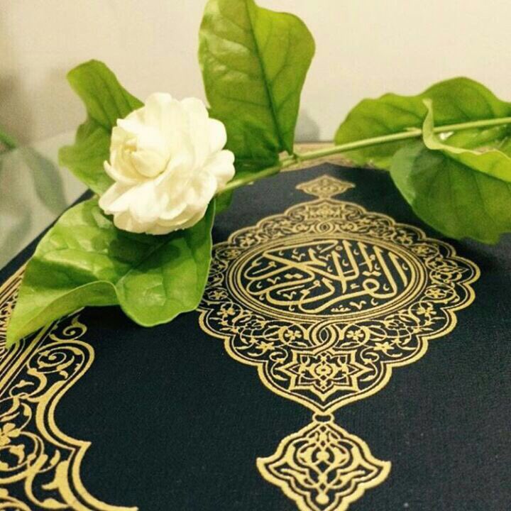 miariraqia's tweet photo. #السعادة
إن من يعلق آماله بالله سيغرقه بأمواجٍ من السعادة ولو بعد حين ...
اللهم اسعد كل قلب تعلق بيك ❤️
صباح الخير 🌹 https://t.co/AGOiGdLtWW