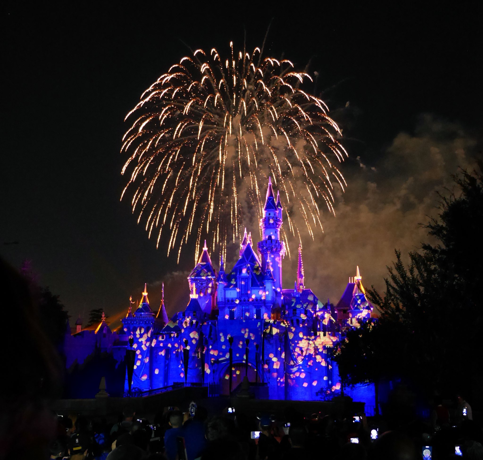 コットン ラストは今年の夏までのカリフォルニアディズニー60周年の ディズニーランドフォーエバー 花火の途中でなんと雪降ってくるんですよ 最高に降ったところで レリゴー 子供とか歌っちゃっててヤバかった だからズルいって コトたび