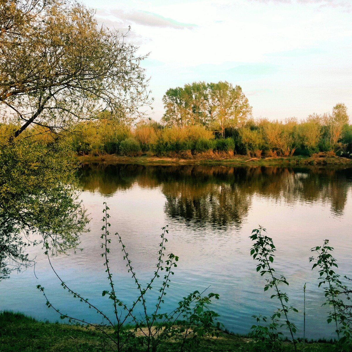 Июльский вечер. Ивановская область. Река Нерль.
#Красоты_России #КрасотыРоссии #Россия