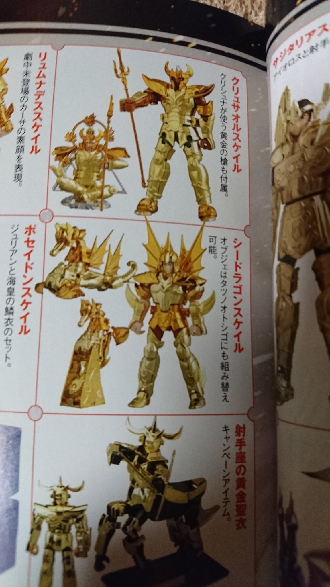 シードラゴンスケイル クリュサオルスケイル | www.kmsedu.in