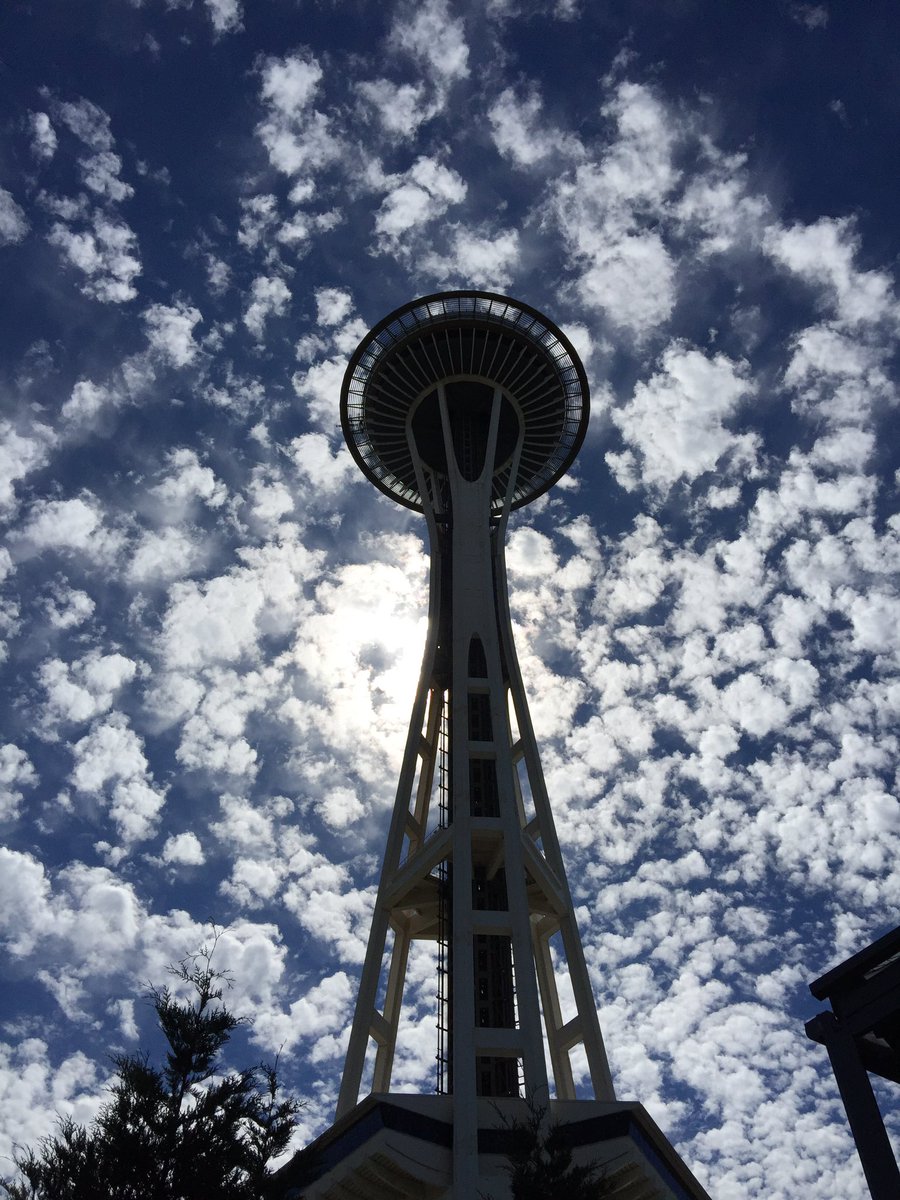 lvnthenw's tweet photo. What's not to love living in Seattle?! #summersinseattle https://t.co/3PK90UgD7b