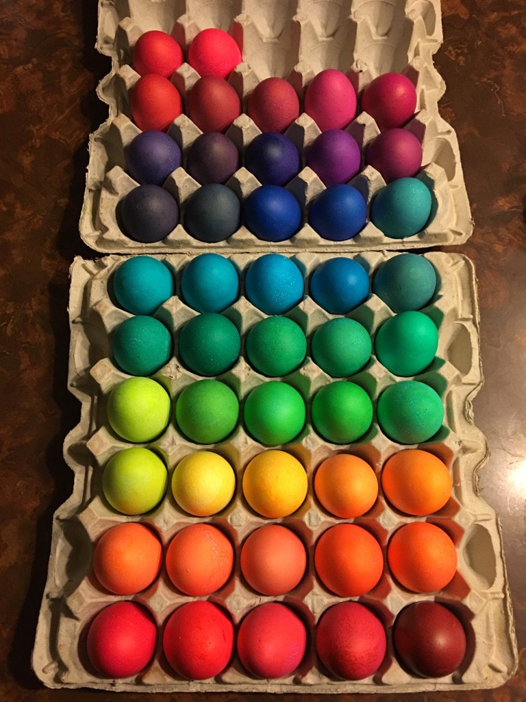 2mvco's tweet photo. What da fuq did these eggs come out of?
#eggs #unexplained #wtf https://t.co/zhZumo6mwR
