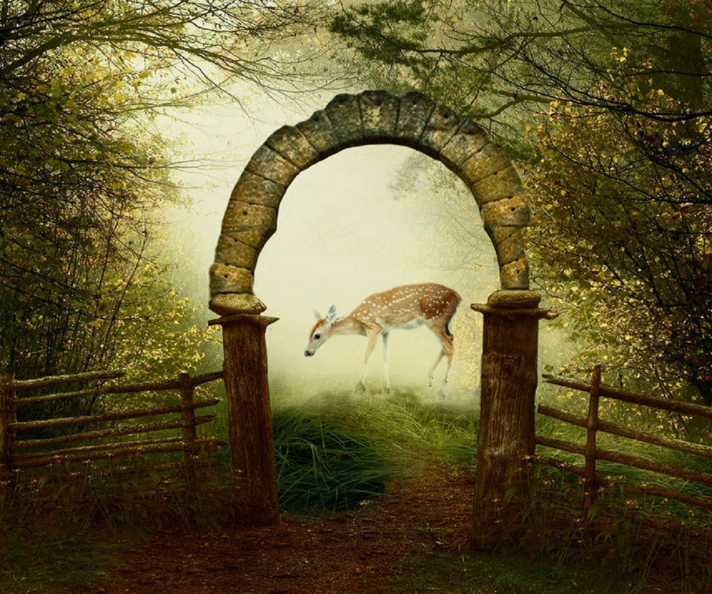 geethap2007's tweet photo. One one thousand clear
#outnumberedwolves #revolution #pervades #thoughts #connection… https://t.co/te1rilJja1 https://t.co/oJymzil25E