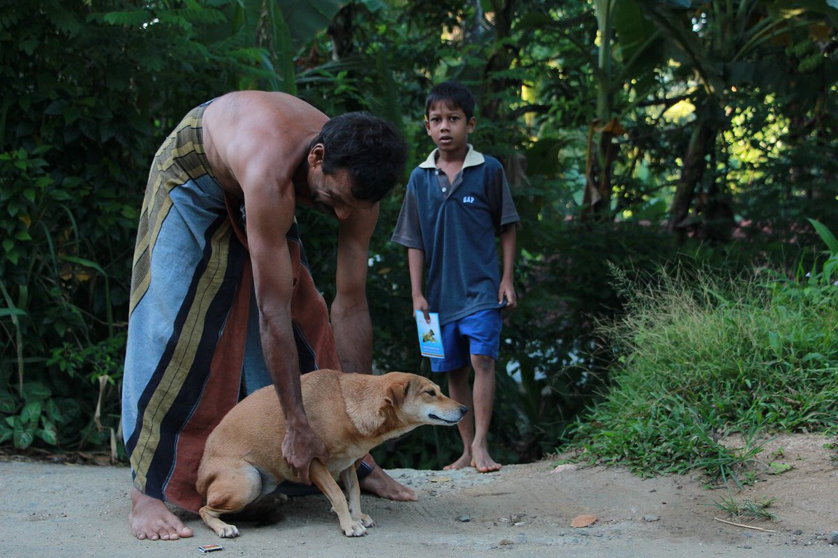 Beautiful pooches the #EmbarkTeam met at the vaccination programme in Aranayake recently. #Clinic #StreetPooch #Care