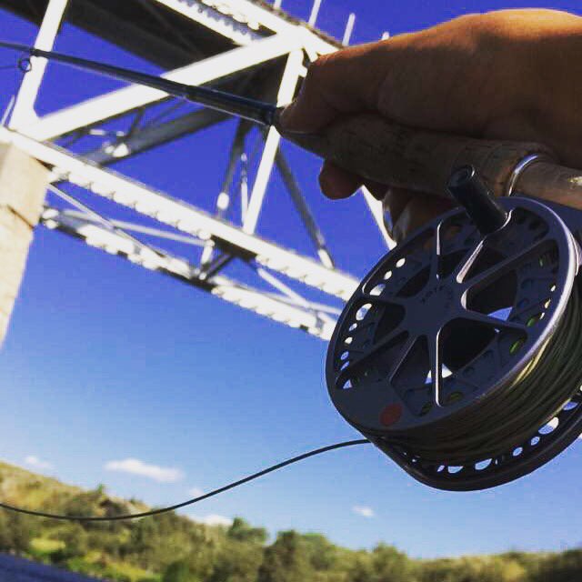 lipstickflyfish's tweet photo. Reel good place. #idahome #loopusa https://t.co/a4lxtgkf7g
