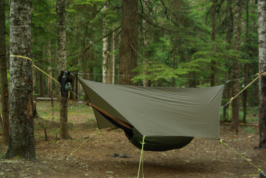 brewpacking's tweet photo. Did a lil' 3 day solo #hammockcamping trip last week. Got another small trip planned for Sunday. #pnw #camping #beer https://t.co/Unym8OSGv1
