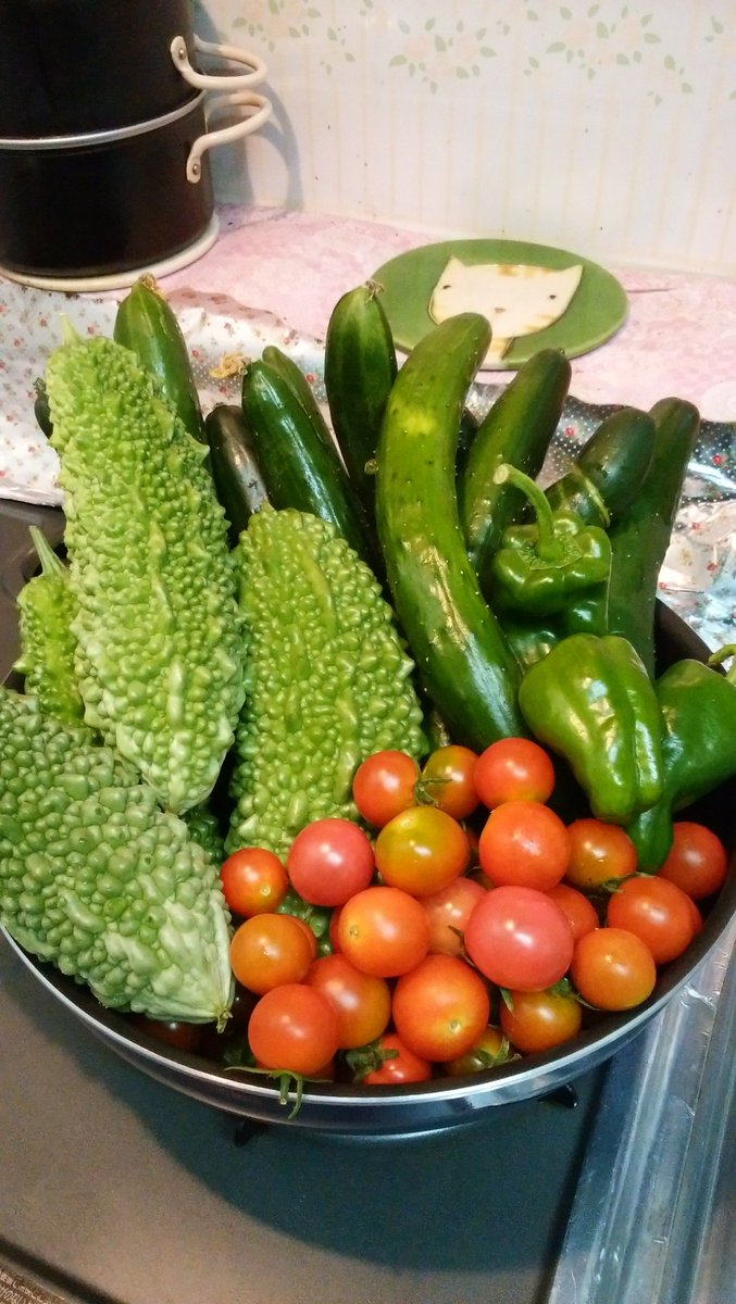 花火の音が聞こえる