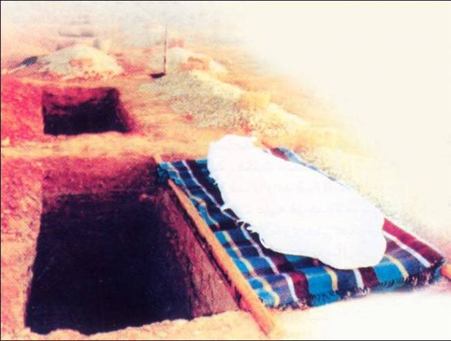bintalshikh tweet picture