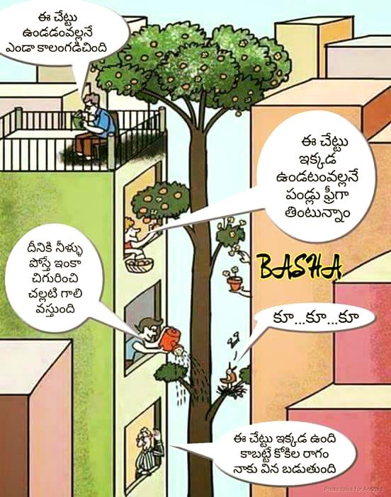 swamy_deepa's tweet photo. Save Trees :) https://t.co/Ni69qfsaaN