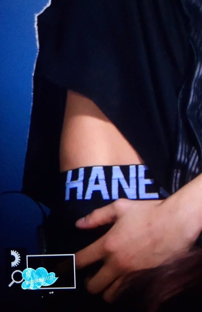 PUPPYnCUB's tweet photo. [PREV] 160730 #CHANYEOL @ #EXOrDIUMinSeoulDay5 cr.whitedreams1127 https://t.co/MQuPLwIa5U