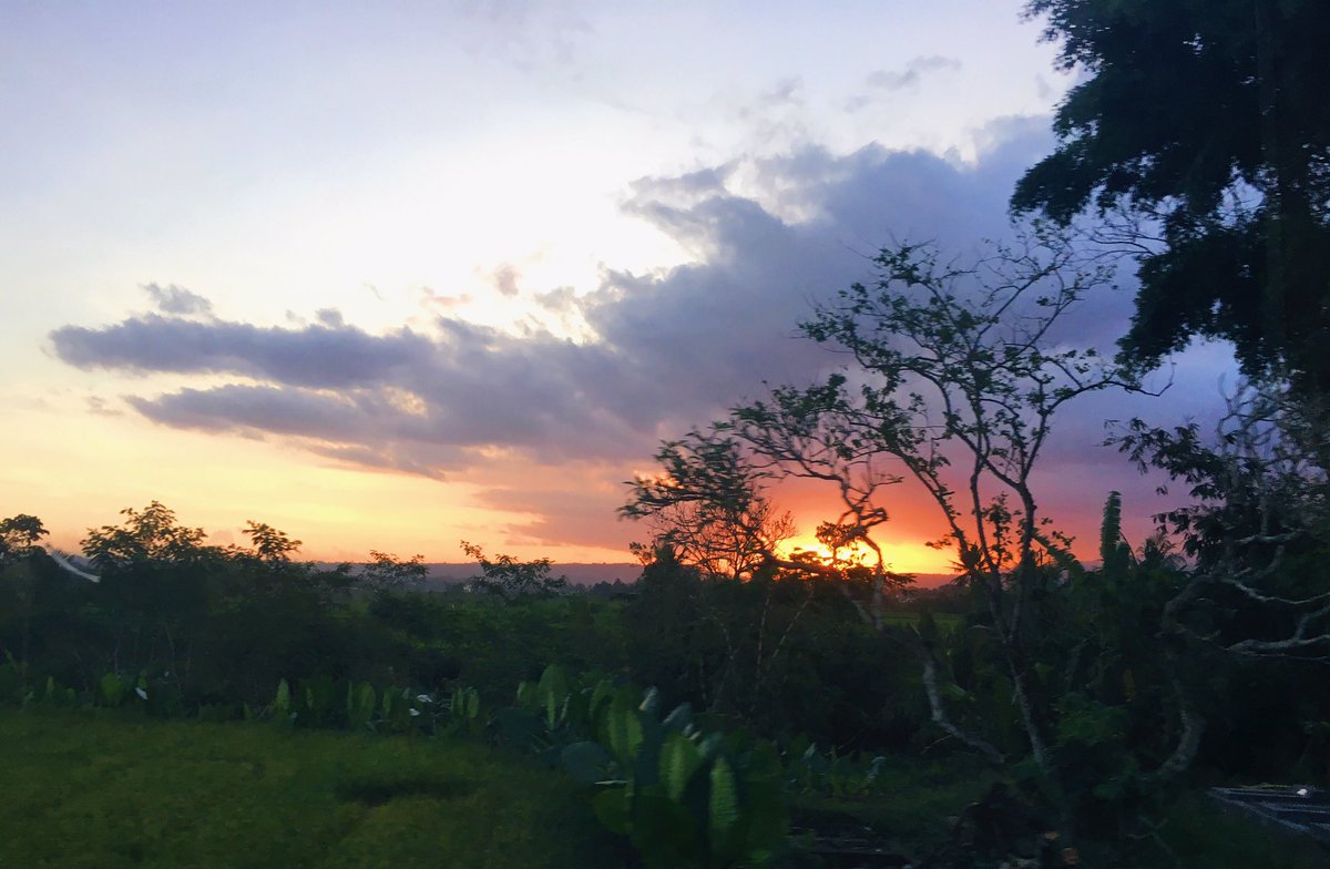 wiranagara's tweet photo. Bahwa tiada lebih meneduhkan dari kepulangan yang disambut senja.. https://t.co/JoExf9as9r