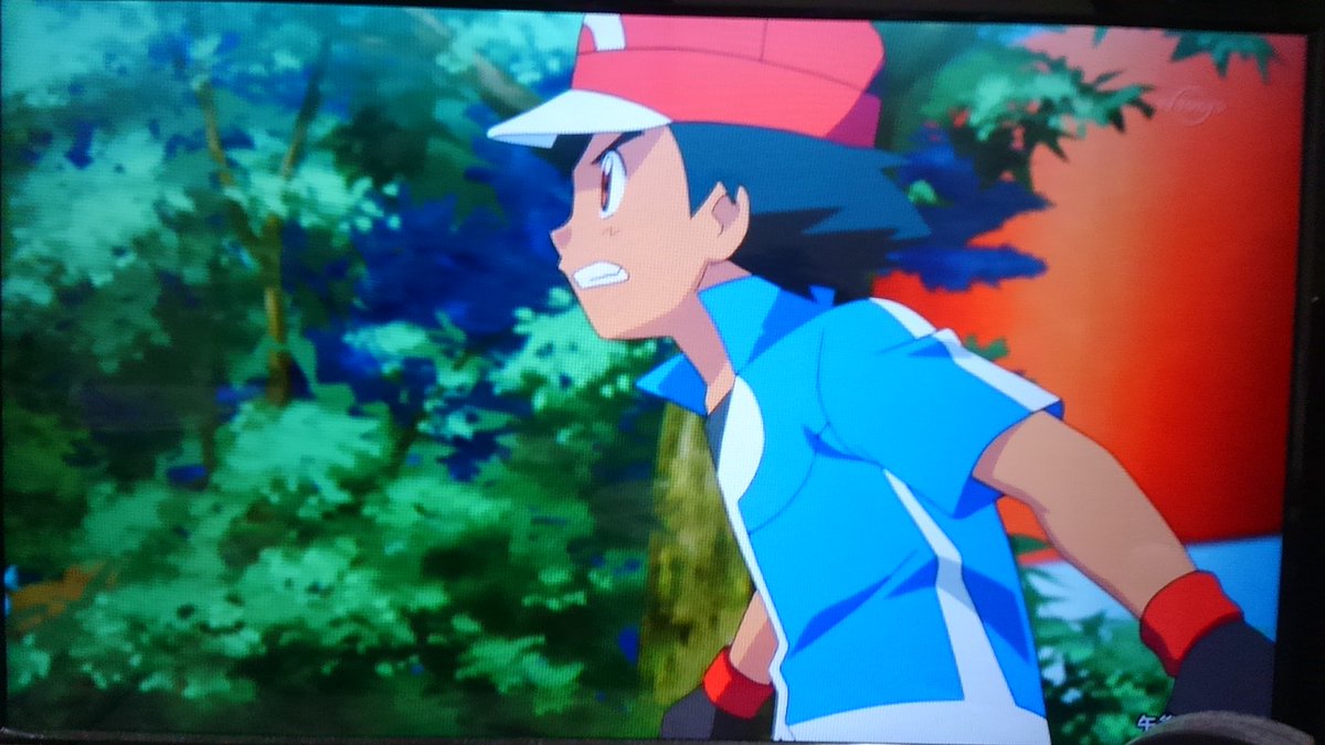 つのけん少年 修行中 寿司バイト ショータ そう来ると思いました ギルガルド キングシールドです サトシ よォしピカチュウ 木を投げつけろッ Anipoke