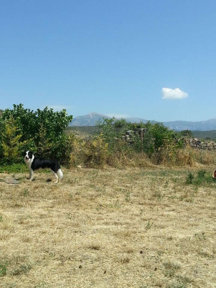 AGuiseris's tweet photo. Demasiao' calo... https://t.co/PKQkxn64SZ