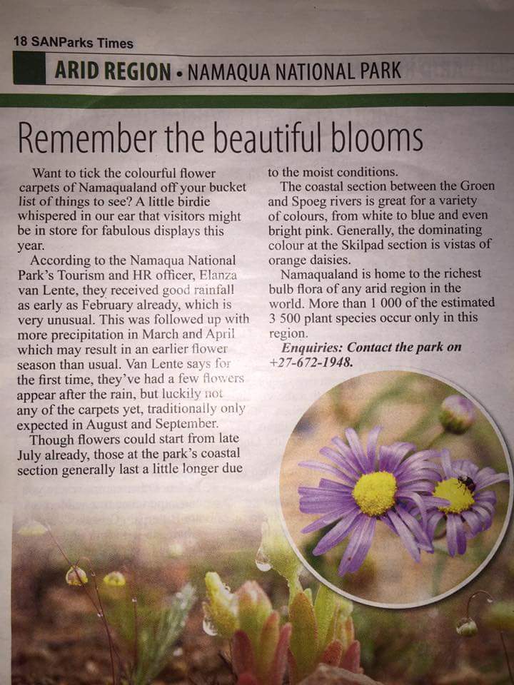 FlowerCamps's tweet photo. @SANParksNP a fabulous flower season is foretold. # go namaqua #flowers #adventure https://t.co/4d7ueUdL6A