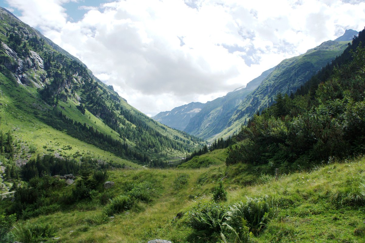 Schrofenblick's tweet photo. #wandern im #sundergrund
https://t.co/9nJoupznN1
#mayrhofen #zillertal #intirol #austria #berge #urlaub #relaxing https://t.co/1ymiQbfmPW