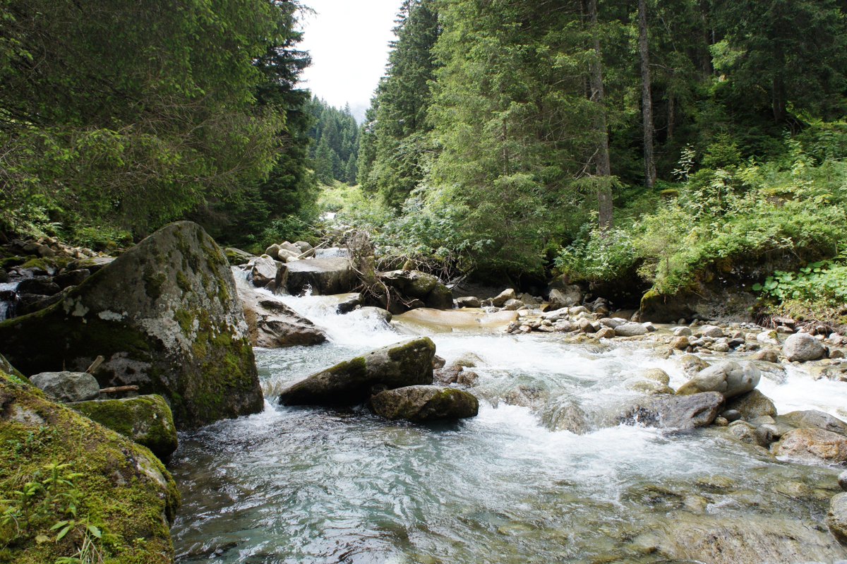 Schrofenblick's tweet photo. #wandern im #sundergrund
https://t.co/9nJoupznN1
#mayrhofen #zillertal #intirol #austria #berge #urlaub #relaxing https://t.co/1ymiQbfmPW