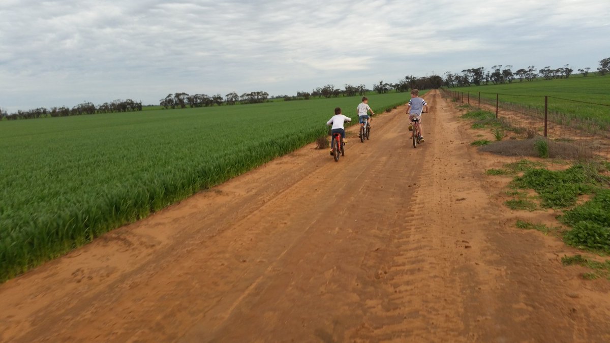 MonelleAg's tweet photo. Let's go for a ride I said. Be fun I said. #2stacks #1puddle #slowcoach https://t.co/EaHJOvUzva