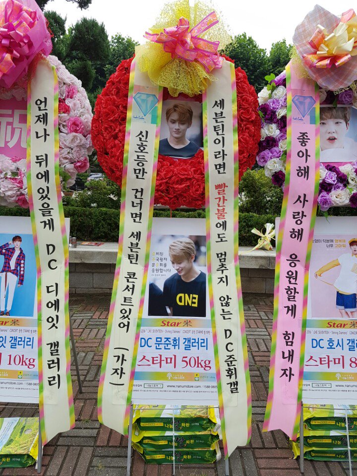 DC 준갤러리에서 준휘를 응원하는 화환을 준비했습니다 ❤