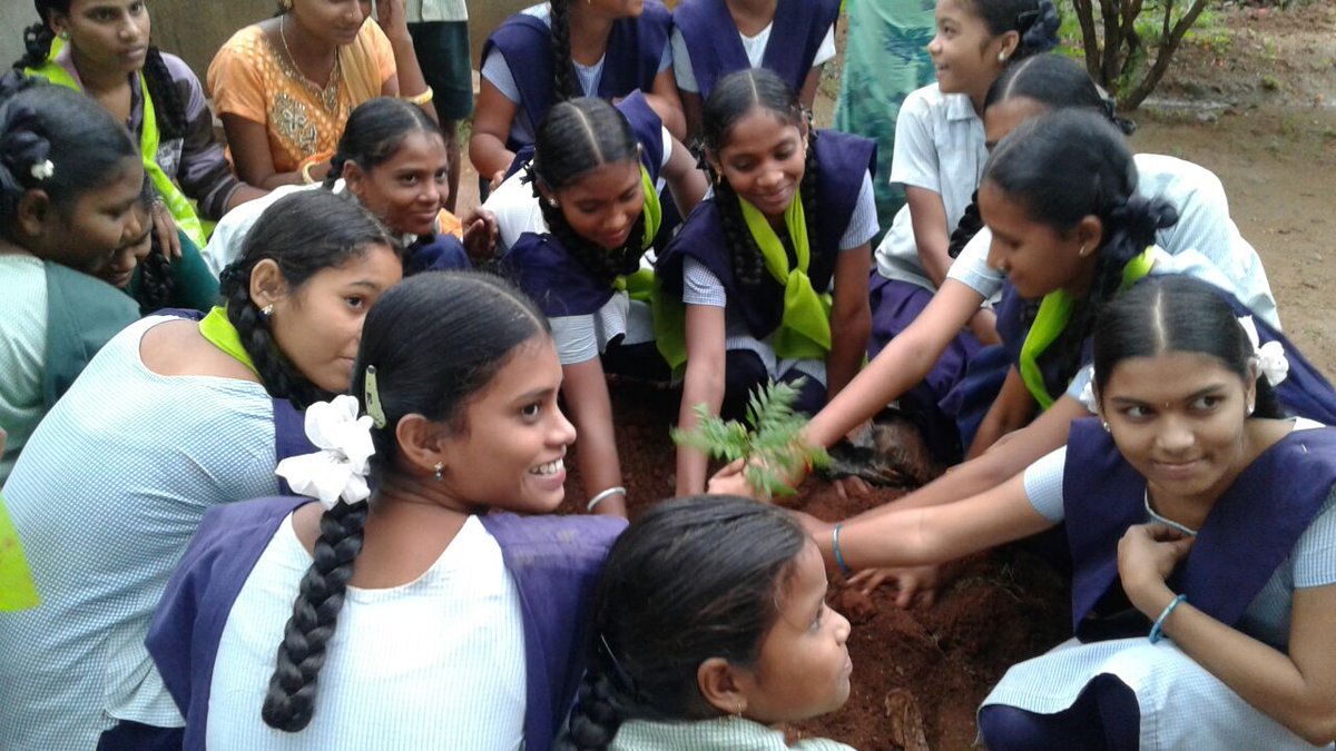 infoapmas's tweet photo. Telangana Harithaharam https://t.co/xxUX9UhpDO