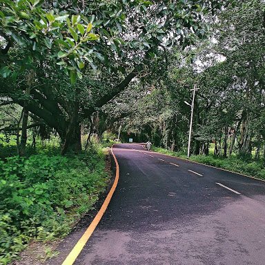 UnivOfPune's tweet photo. When it rains, it can't get better than it is @UnivOfPune https://t.co/kwgbd0sVQE