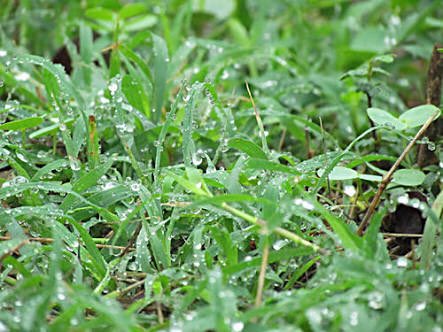When it rains, it can't get better than it is <a href="/UnivOfPune/">University Of Pune</a>