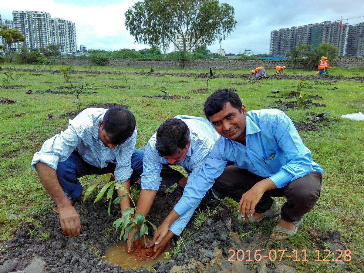 infoapmas's tweet photo. Telangana Harithaharam https://t.co/xxUX9UhpDO