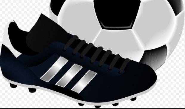 texelsecourant's tweet photo. SchapenCup voetbaltoernooi keert terug voor 30+-spelers  - https://t.co/VIMkj6FKvy https://t.co/WKc3gCbwWW