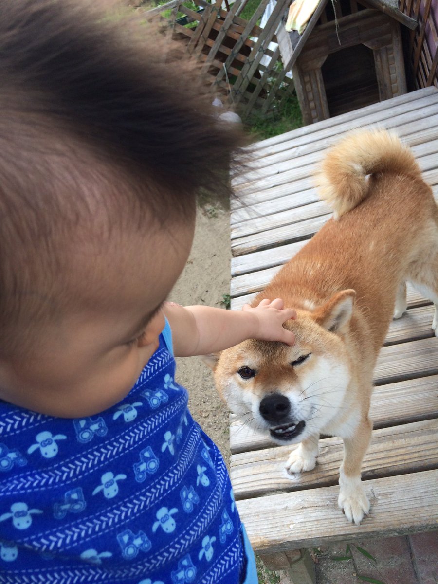 qoo_renofa09's tweet photo. (°ω°Ｕ)んぐ。 https://t.co/Cg1B2XryJV