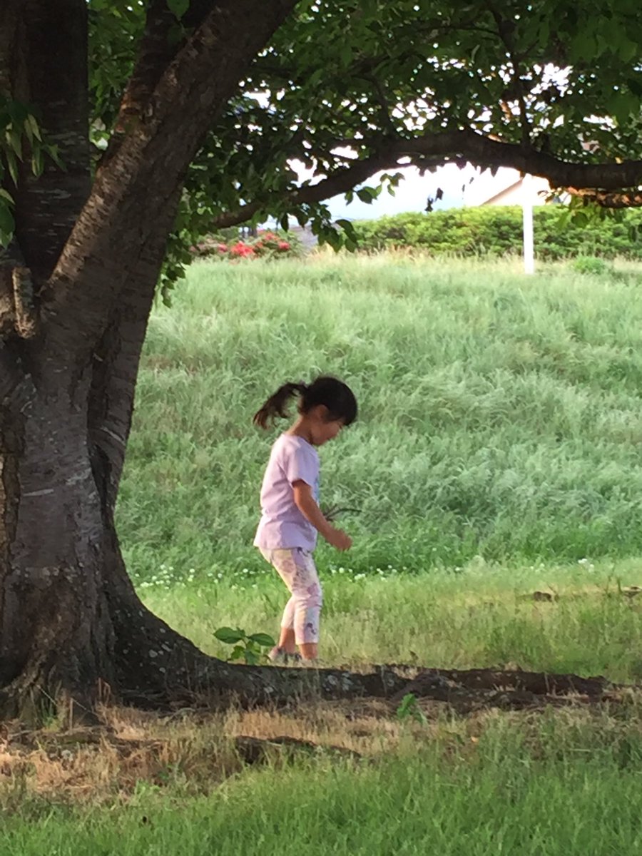 totallyloveyour's tweet photo. 子育てはなぜするのか…自立した子に良識のある子に育てるため等と思われるかもしれないが…『こどもがいつも幸せな顔をしているかどうか…』と聞いたことがある🎏だから私は孫に"しあわせ？"と時々目で聞いている🤖お暑うございました,また明日🎐 https://t.co/oIGcq3atMU
