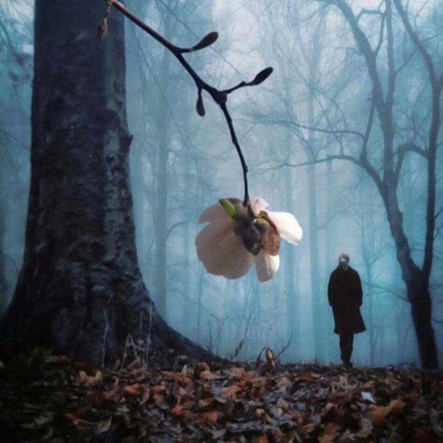 RenatoRaimo's tweet photo. In fondo, è nei passi falsi che impariamo a camminare. (Odette De Crécy) https://t.co/KmeAwSYW2X