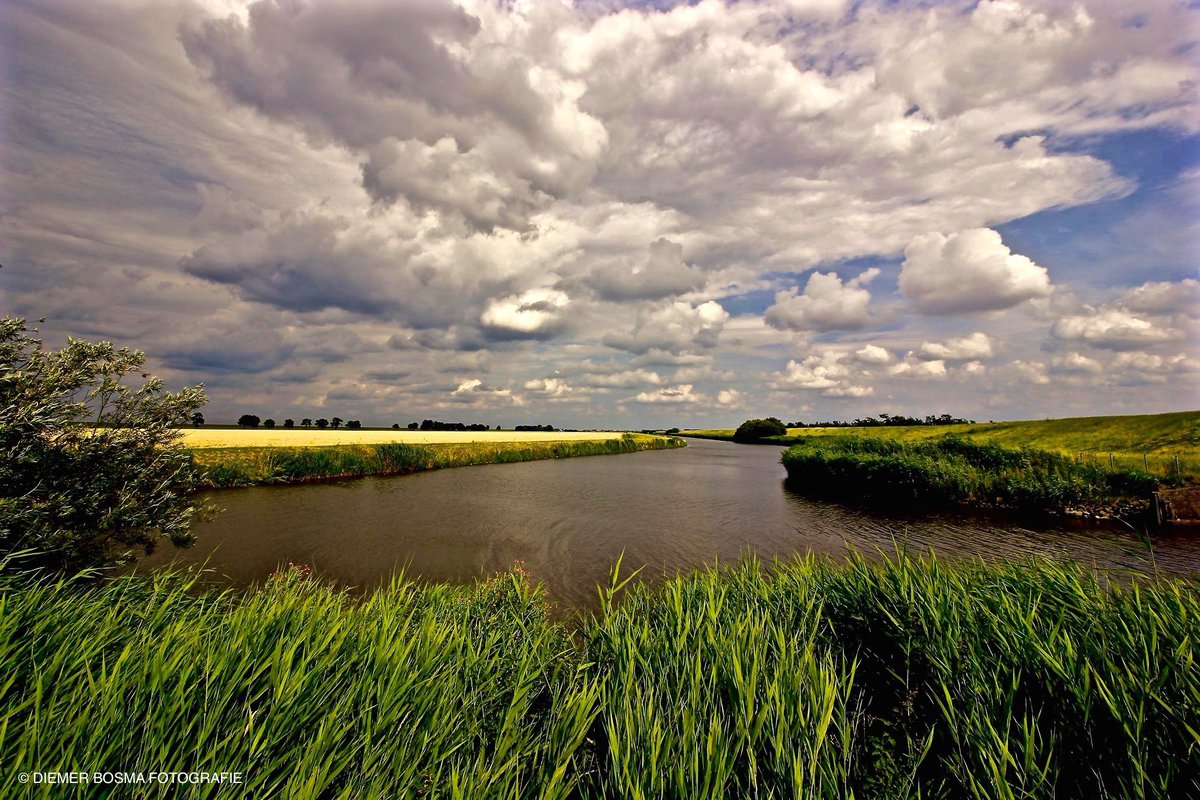 ‘’The earth has music for those who listen.’’ 
#Earth #Music #Listen #Mindset