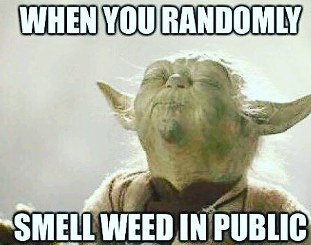 VMarez's tweet photo. Yessssss😎☺😁 https://t.co/UrhalTf4WR