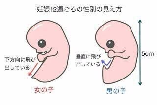 はる 心愛mama Chipoooopo Twitter