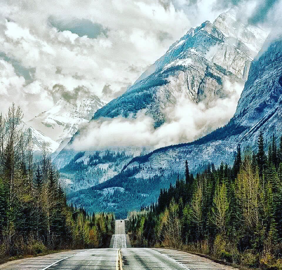 GoGlobaltours91's tweet photo. How many likes for this view ?
#Alberta #Canada #GOGLOBAL https://t.co/kwo0AvHa10