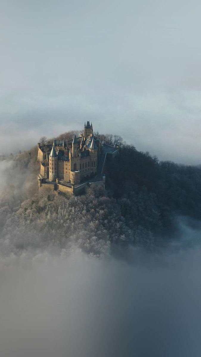 ابونواف (@abonawaf_34) on Twitter photo 