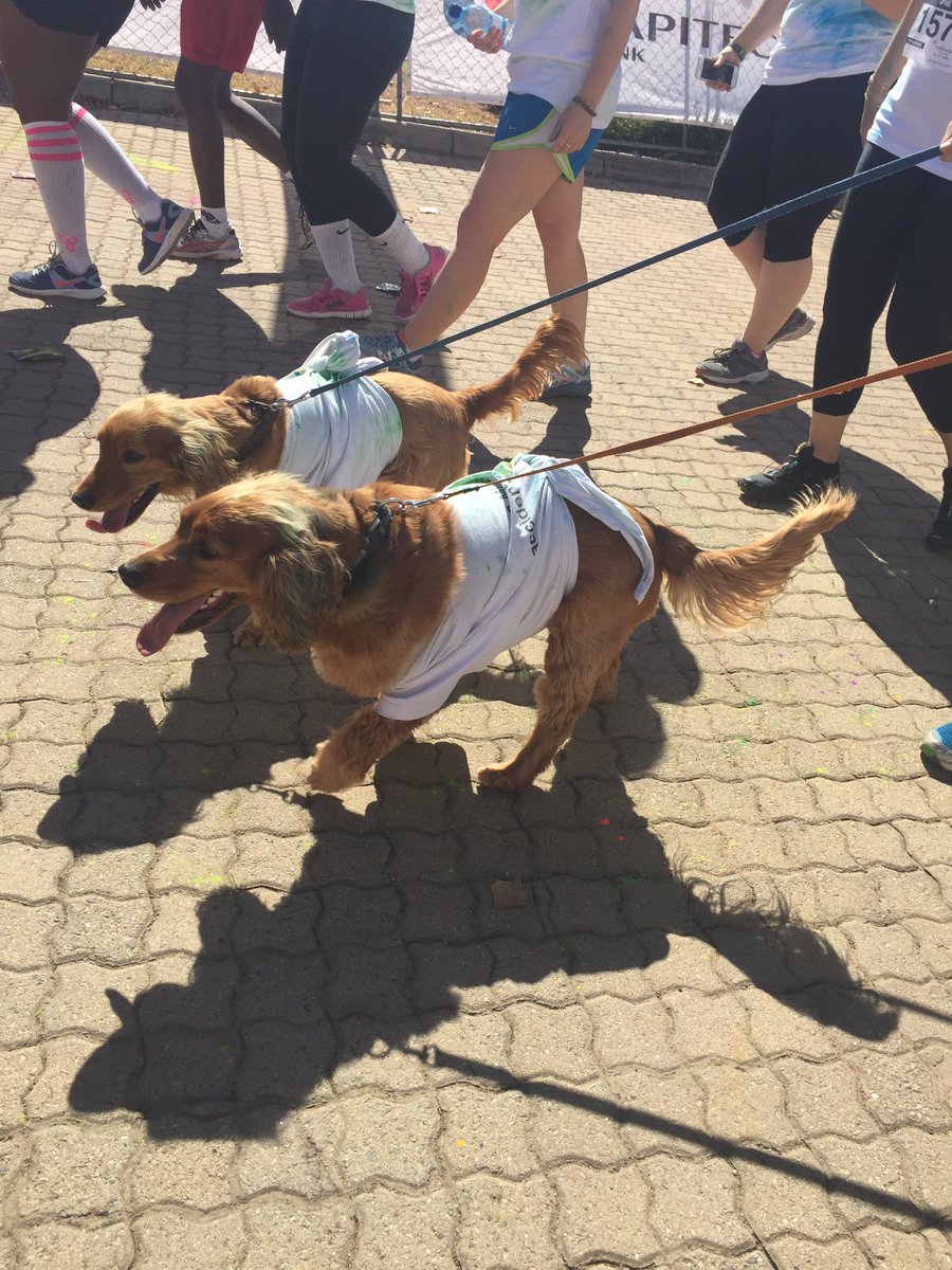 MisterJacques's tweet image. '@jacarandafm @CapitecBankSA #TheColorRunSA #Happiest5K #CapitecLiveBetter 3000 runners/walkers and some #Dogs