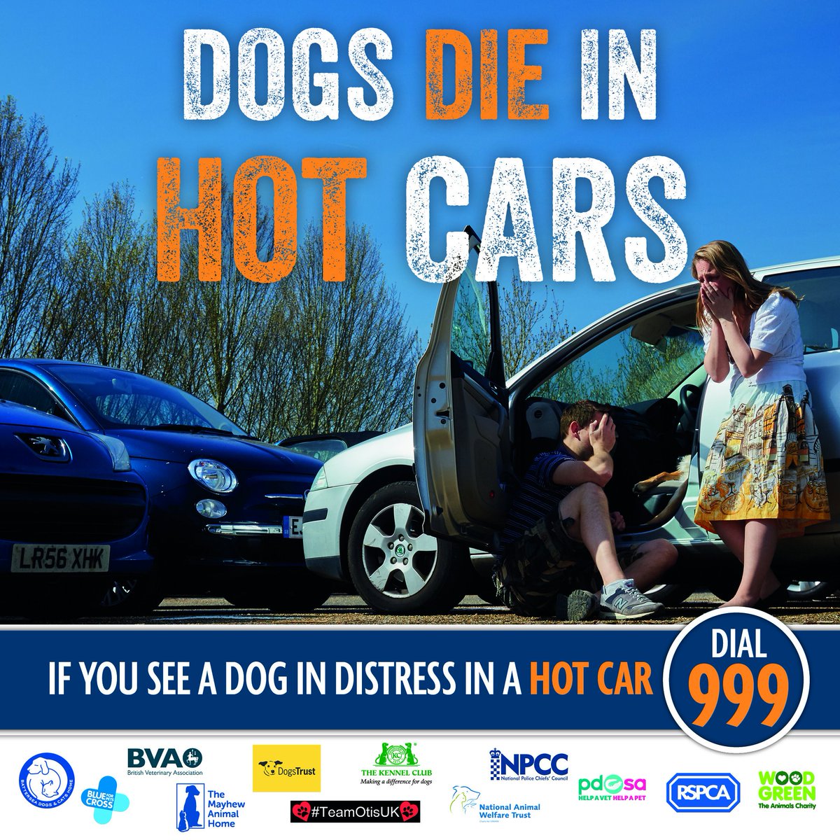 BritishVets's tweet photo. As the temperature rises this weekend don't leave your dog in the car. Not long is too long #DogsDieInHotCar https://t.co/8g0ngen2qn