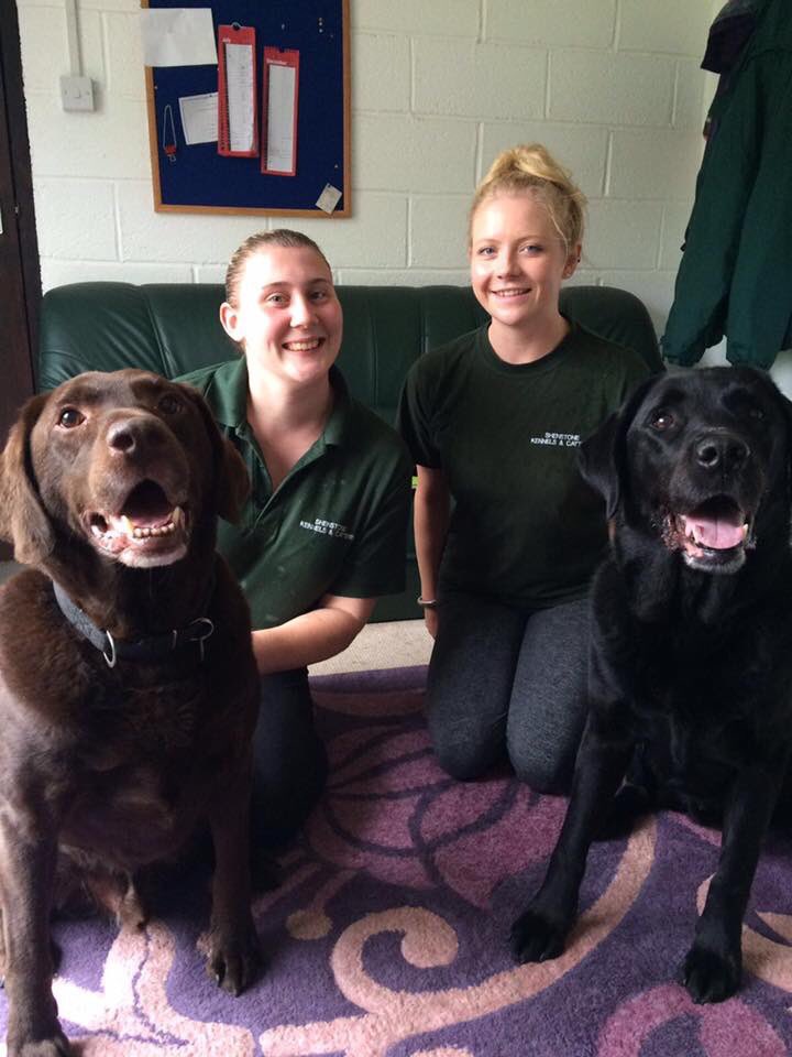 NedSaid2016's tweet photo. Coco and me on our summer holidays at Shenstone kennels. Love this relaxed retired life with plenty of cuddles 🐾❤️🐾 https://t.co/EcppA4QzjD