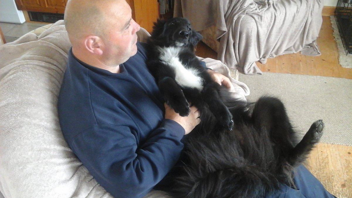 Rapidolass's tweet photo. Bear a coiled spring waiting to leap into action....... #cuddleswithdad https://t.co/2P4siYO9mI