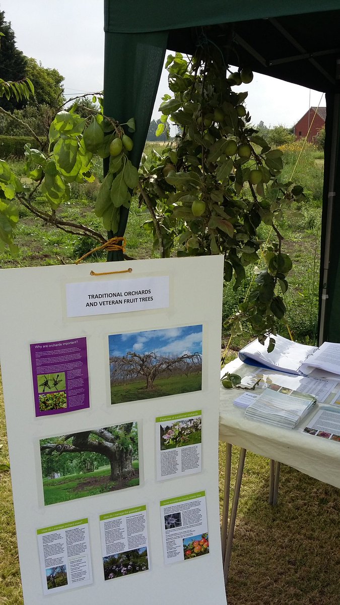 NewLifeOldWest's tweet photo. Don't miss Apple Day in Welney today, try some local orchard produce and learn about honey bees! #OuseFest2016 https://t.co/imiZEb28oo