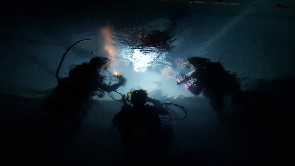 ScubaMamma's tweet photo. Miss Freya night diving with her #ScubaRangers friends - so much fun!!#SubAquatics #ScubaSquirrel https://t.co/ERcrZqNElu